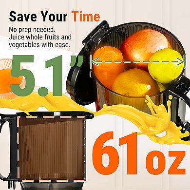 Ventray 5.1 Inch Large Feed Chute Cold Press Juicer, 250W Power Masticating Juicer
