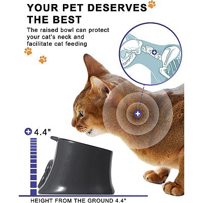 Tilted cat bowl new arrivals