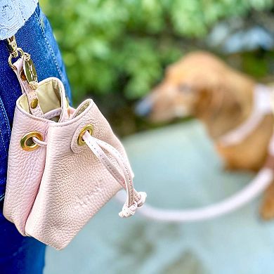 Pet Dog Treat Bag - Sweetest Thing