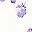 Ivory Tapestry Floral