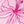 Pink Floral Bloom
