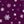 Dark Berry Snowflake