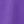 Plum Burst Floral