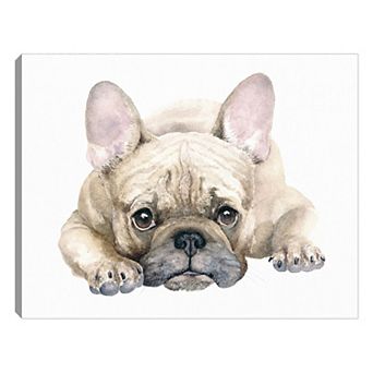 Frankie The French Bulldog Canvas Wall Art