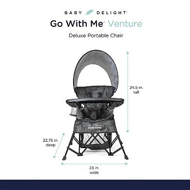 Baby Delight Go With Me Venture Deluxe Portable Chair
