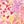 Blush Multi