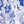 Blue Ivory