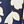 Navy Ivory