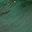Green Tiger Eye