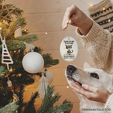 Please Do Not Disturb Quirky Cat Ornament, Cute and Funny Christmas Gift