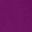 Purple Tulip