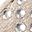 Taupe Shimmer