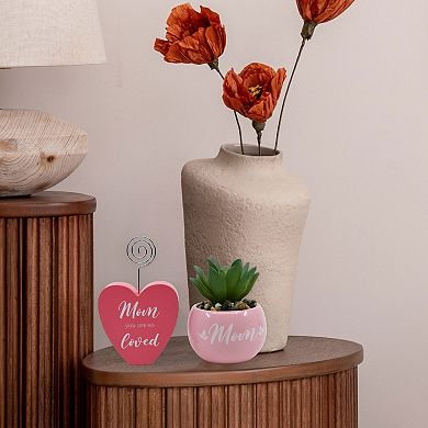 Succulent & Photo Holder Clip Gift Set