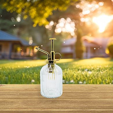 Glass Plant Mister Bottle