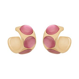 Emberly Gold Tone Resin Stone Hoop Earrings