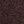 Coffee Bean