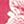 Fuschia White Floral