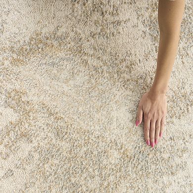 Nourison Ambiance Modern Area Rug