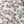 Ivory Leaf Print