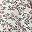 Ivory Leaf Print