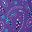 Petal Purple Floral
