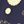 Navy Yellow