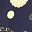 Navy Yellow
