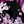 Black Berry Floral