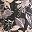 Black Painterly Rose