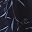 Navy Blue Floral