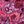 Raspberry Mixed