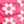 Pink Daisy