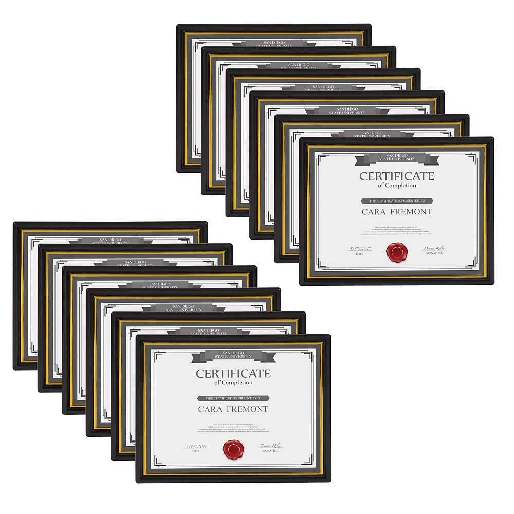 Corporate Document Picture Frame 12 Piece Set