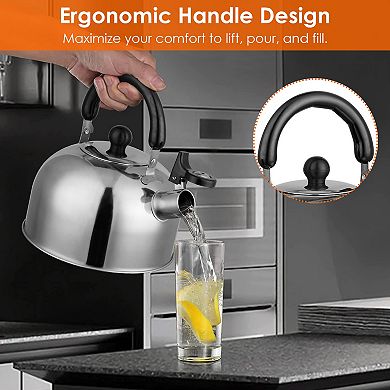 2.1Qt Stainless Steel Whistling Tea Kettle, Stovetop Induction & Gas, Insulated Handle