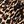 Brown Animal