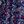 Flower Garden Navy