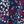 Flower Garden Navy