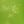Green Vibe