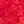 Racer Red