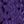 Midnight Violet