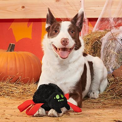 BARK Blake Widow Plush Pet Toy
