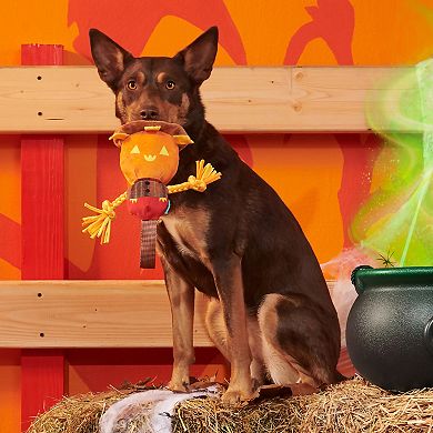 BARK Jack-Crow-Lantern Plush Pet Toy