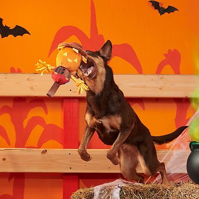 BARK Jack-Crow-Lantern Plush Pet Toy
