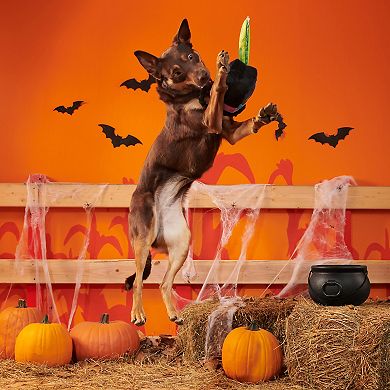 BARK Texas Chainspaw Plush Pet Toy