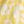 Two Tone Lemon