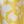 Two Tone Lemon