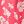 Coral Playful Floral