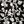 Black Sketchy Floral
