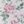 Pink Green