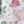 Pink Green
